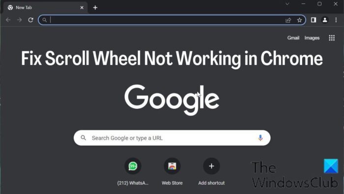 Fix Scroll Wheel Not Working in Chrome