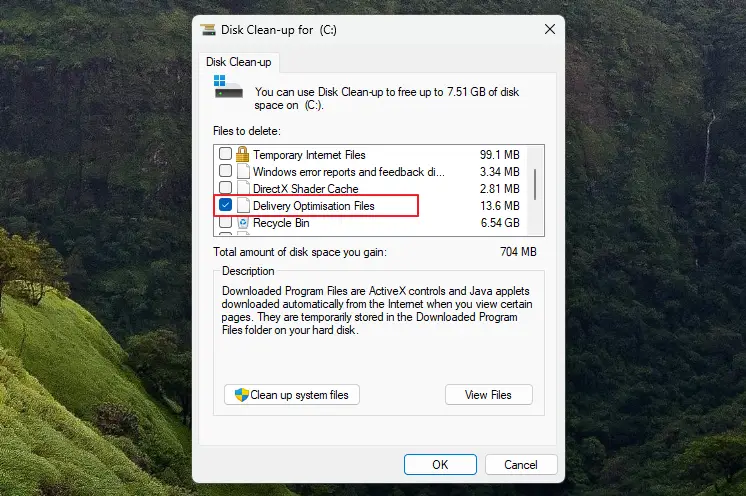 Delivery Optimization Files
