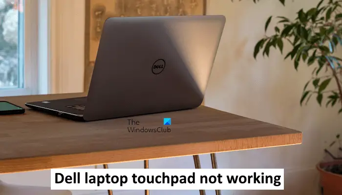 Dell laptop touchpad not working