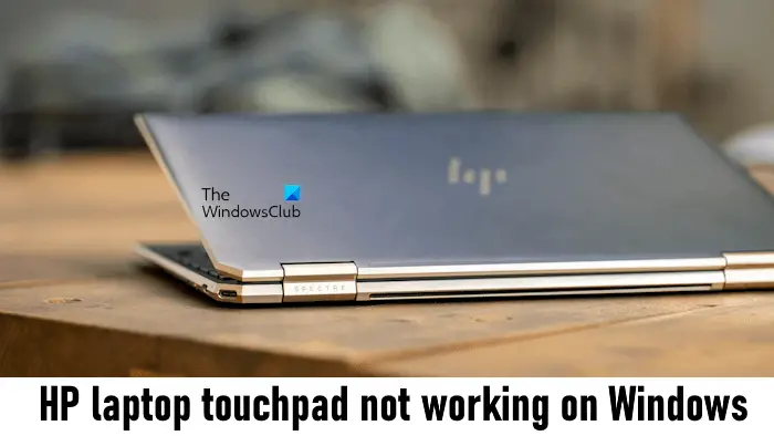 HP laptop touchpad not working