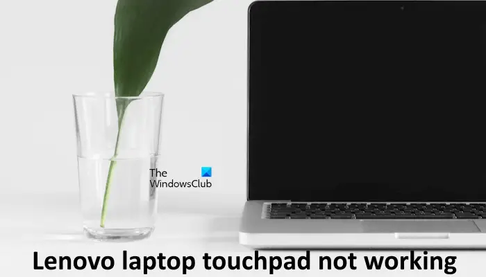 Lenovo laptop touchpad not working